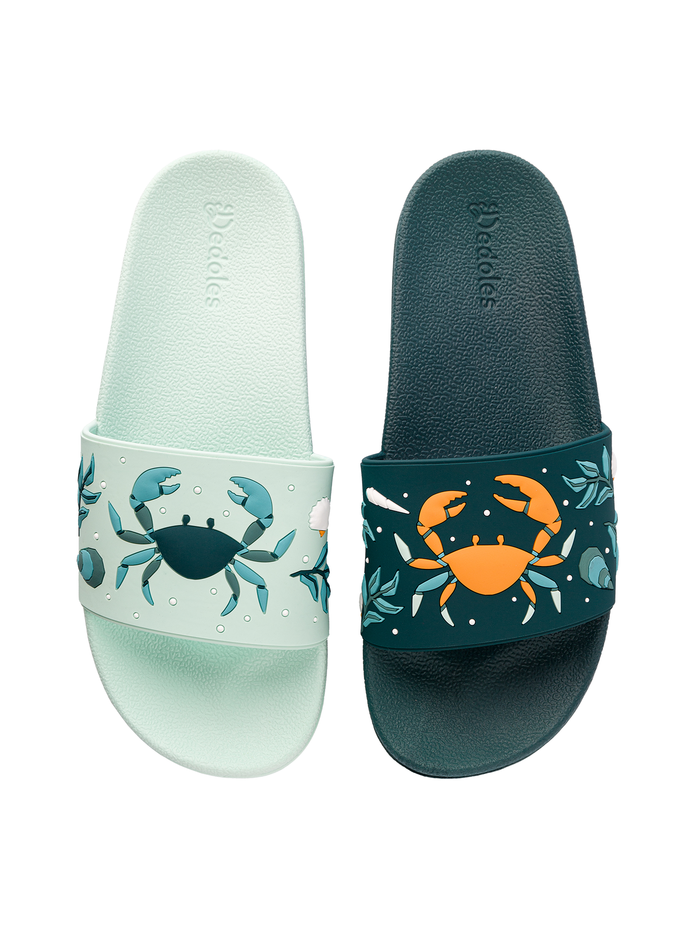 Slides Sea Crab