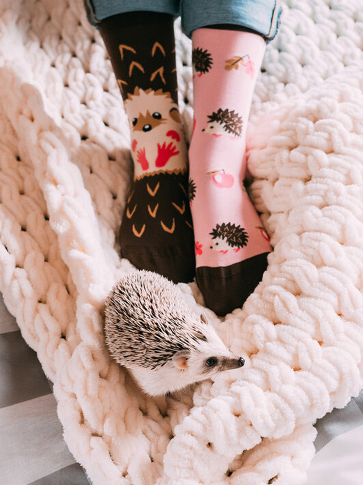 Regular Socks Hedgehog