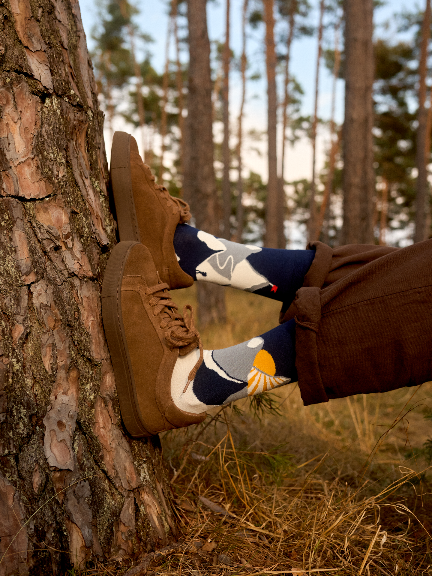 Bamboo Regular Socks Mountain Sunset