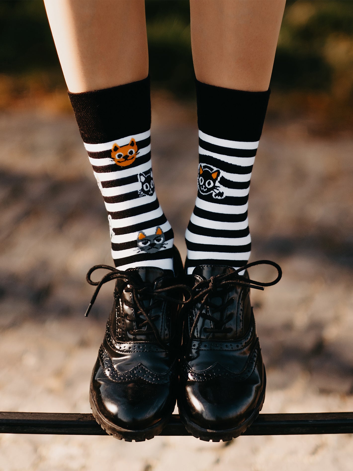 Regular Socks Cats & Stripes
