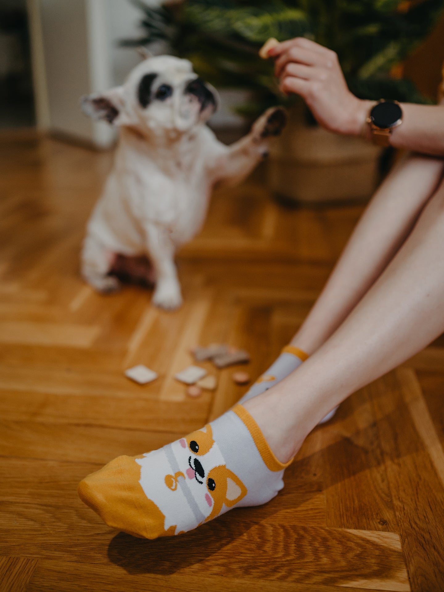 Sneaker Socks Corgi Dog