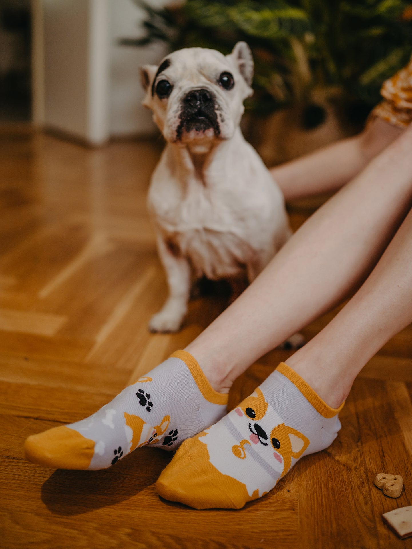 Sneaker Socks Corgi Dog