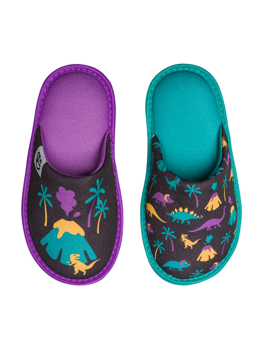 Kids' Slippers Dinos & Volcanos