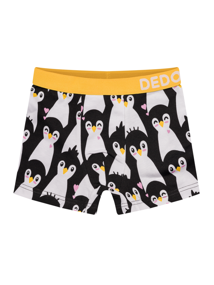 Boys' Boxers Penguins