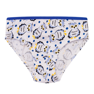 Girls' Briefs Snow Owl