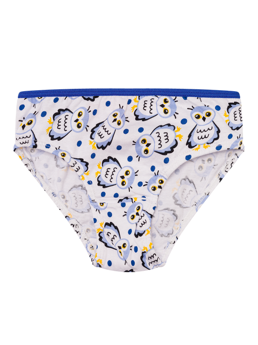 Girls' Briefs Snow Owl