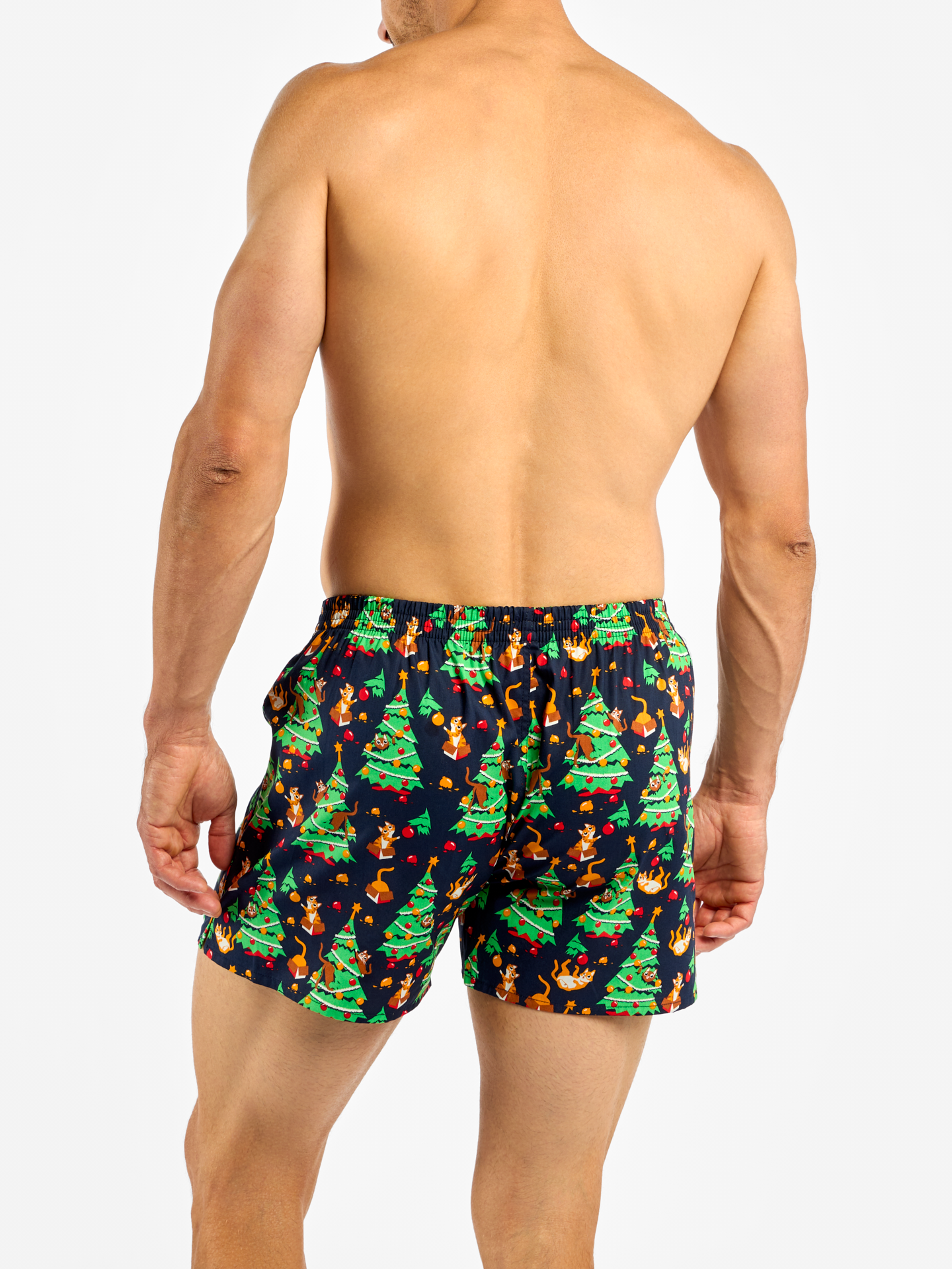 Men's Boxer Shorts Cat Party