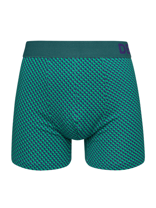 Blue & Green Men's Patterned Trunks