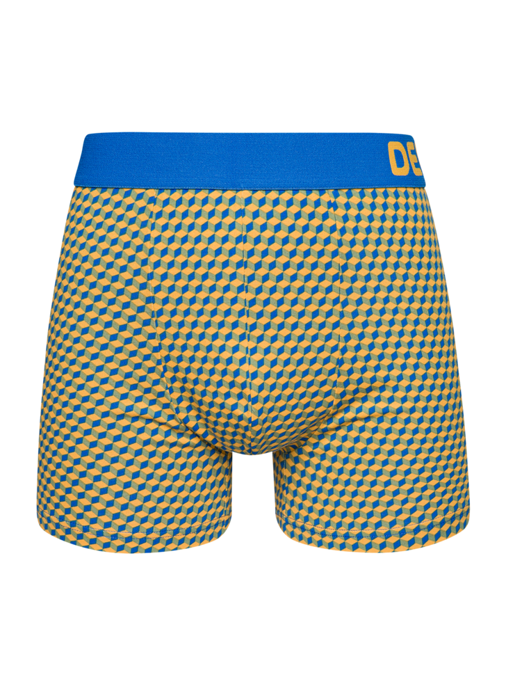 Blue & Yellow Men's Pattern Trunks