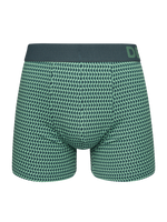 Pastel Green Men's Patterned Trunks