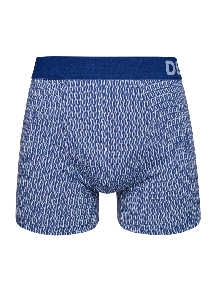 Blue & Grey Men's Pattern Trunks