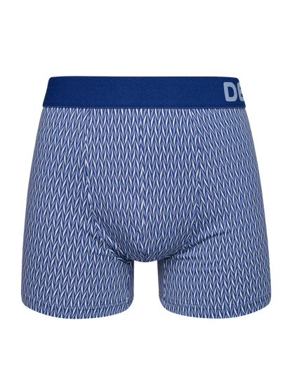 Blue & Grey Men's Pattern Trunks