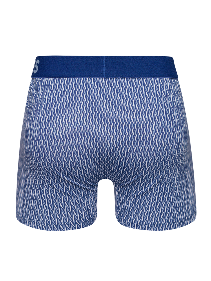 Blue & Grey Men's Pattern Trunks