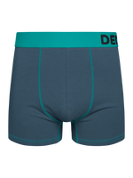 Grey & Turquoise Men's Trunks