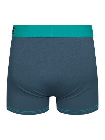 Grey & Turquoise Men's Trunks