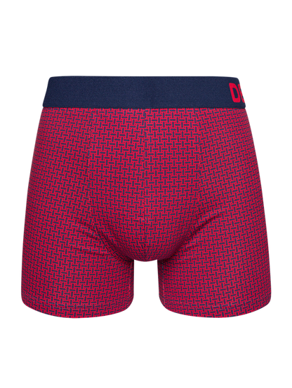 Blue & Red Men's Patterned Trunks