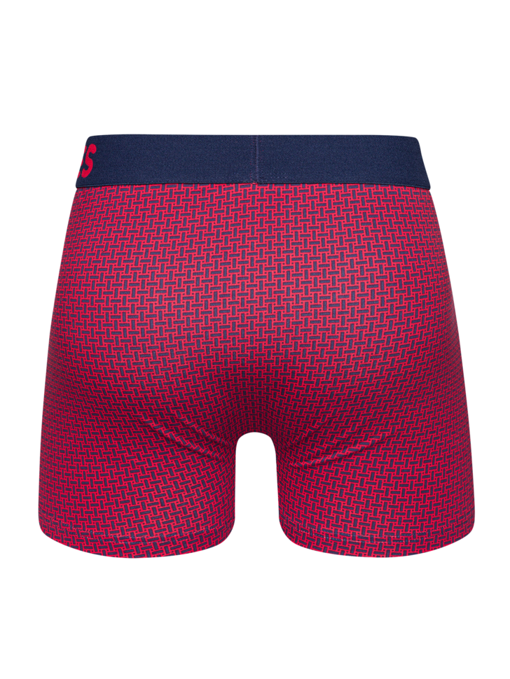 Blue & Red Men's Pattern Trunks