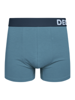 Cold Blue Men's Trunks