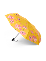 Umbrella Spring Waterlillies