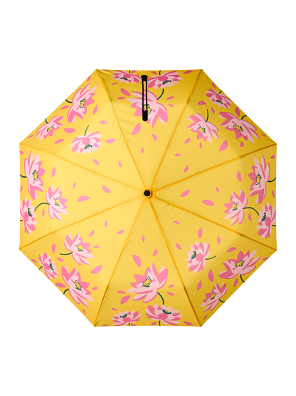 Umbrella Spring Waterlillies