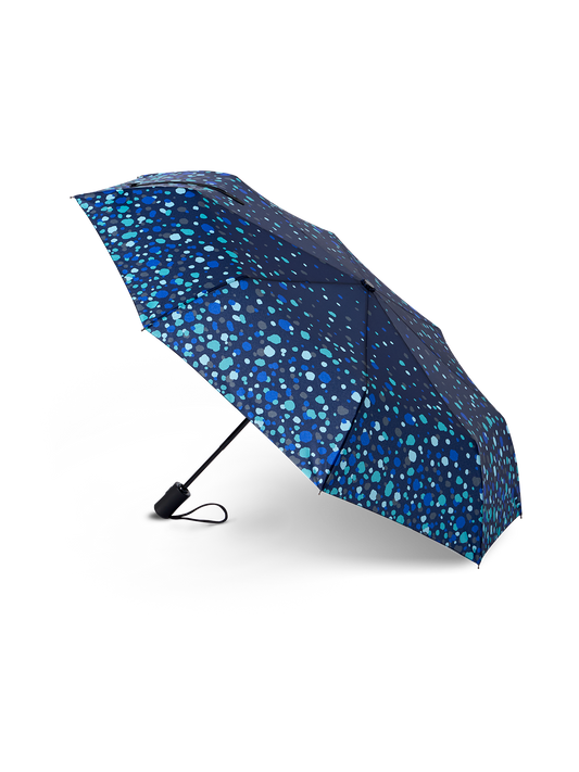 Umbrella Raindrops