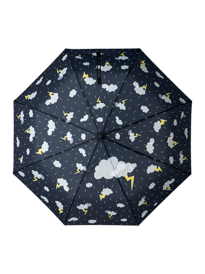 Umbrella Storm