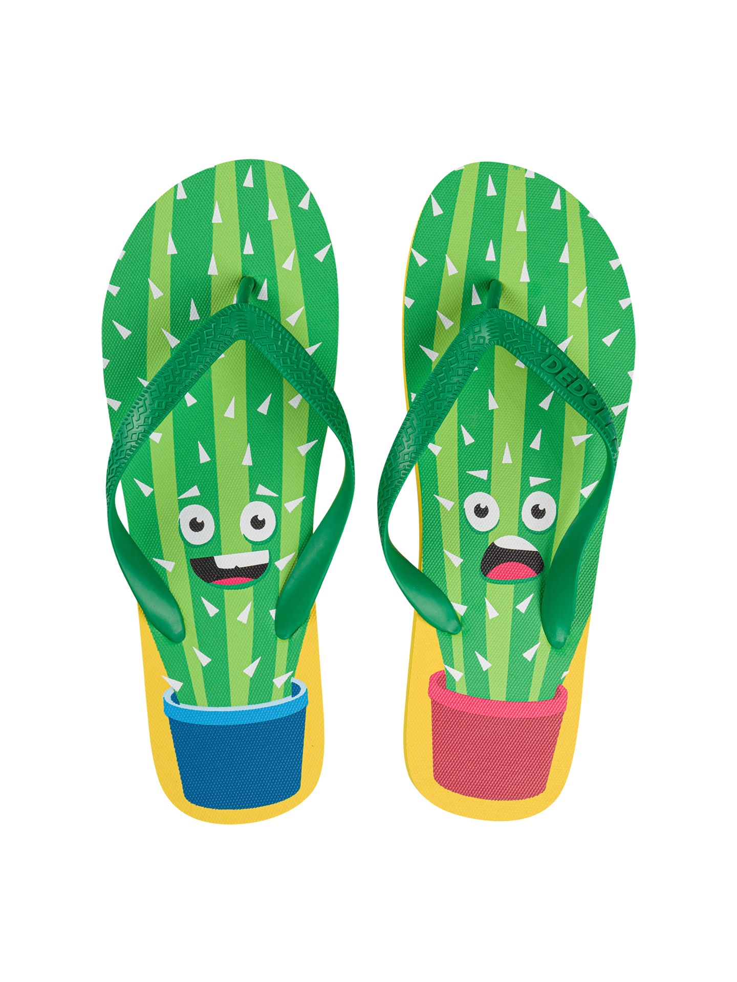 Flip Flops Funny Cactus