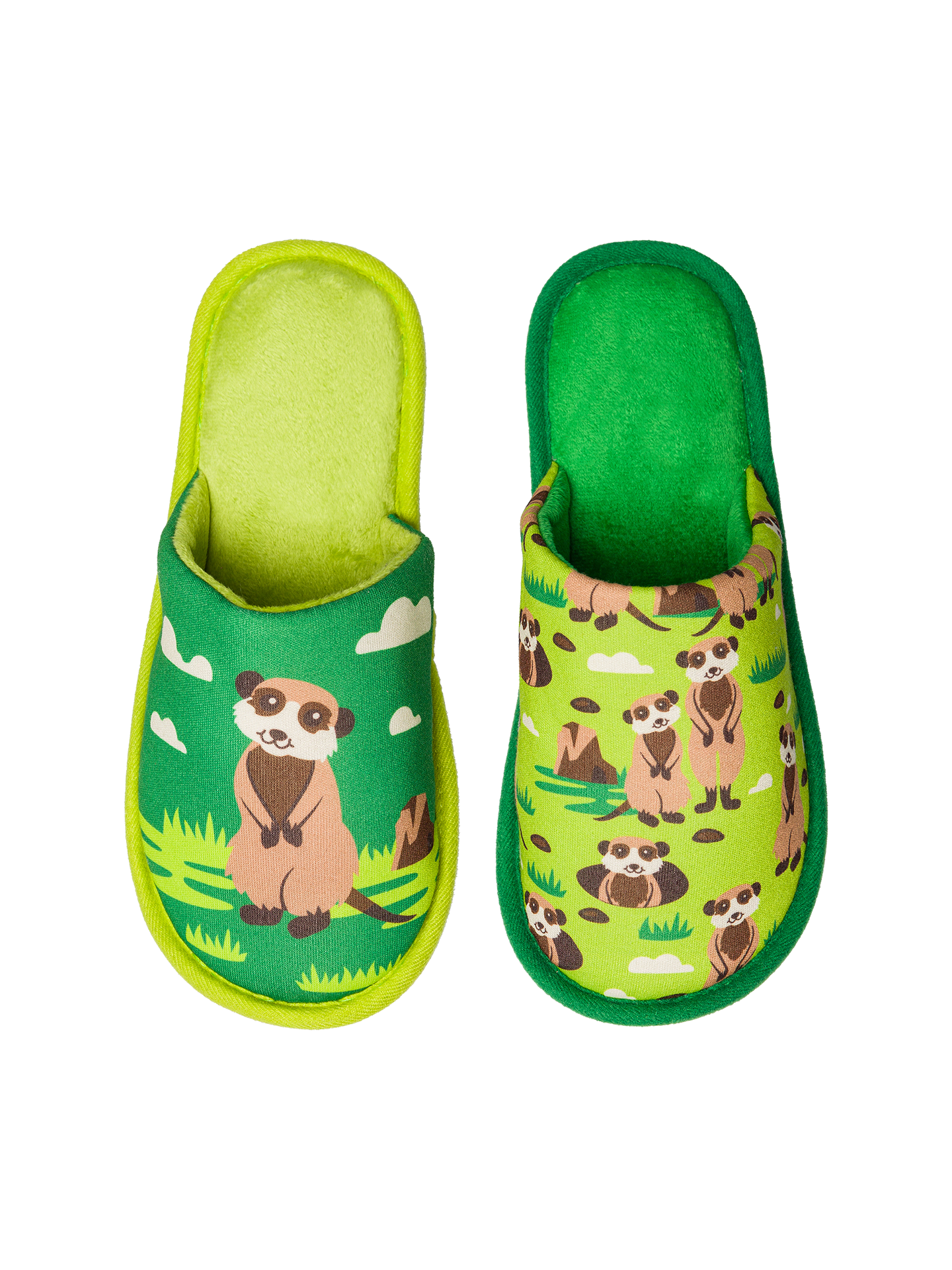 Slippers Meerkats