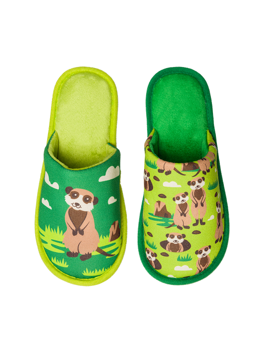 Slippers Meerkats