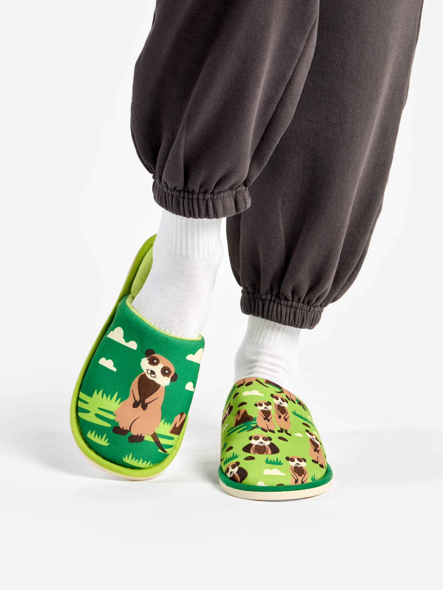 Slippers Meerkats