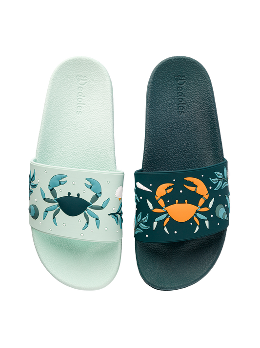 Slides Sea Crab