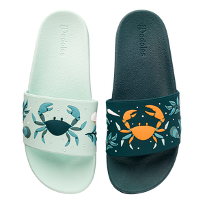 Slides Sea Crab