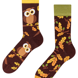 Regular Socks Curious Owl