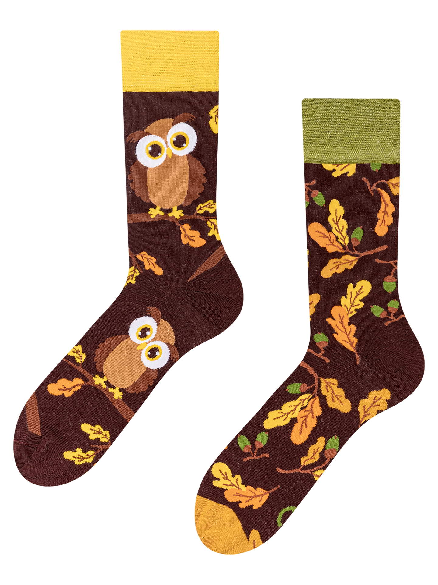 Regular Socks Curious Owl
