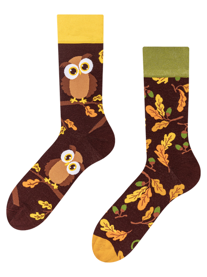 Regular Socks Curious Owl