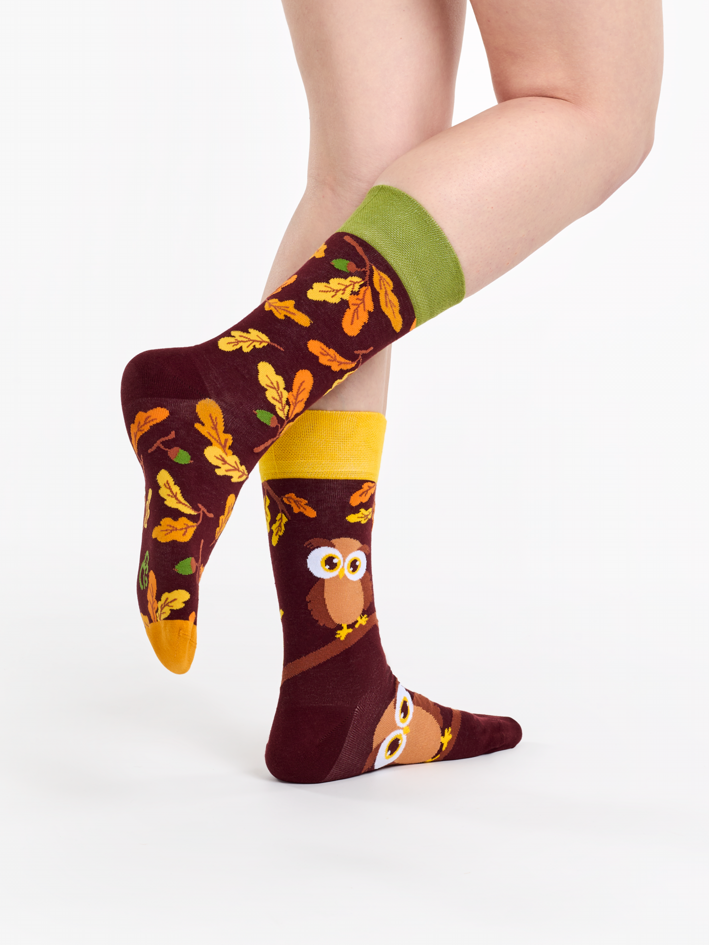 Regular Socks Curious Owl