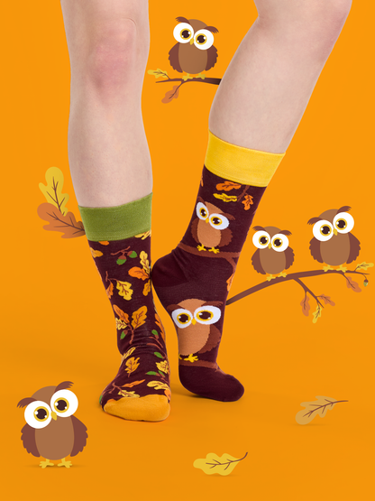 Regular Socks Curious Owl