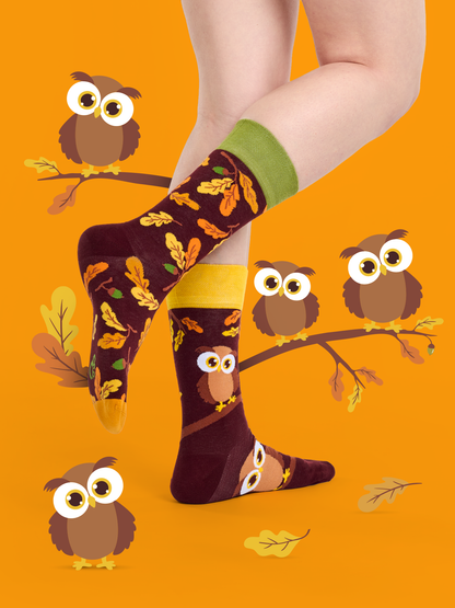 Regular Socks Curious Owl