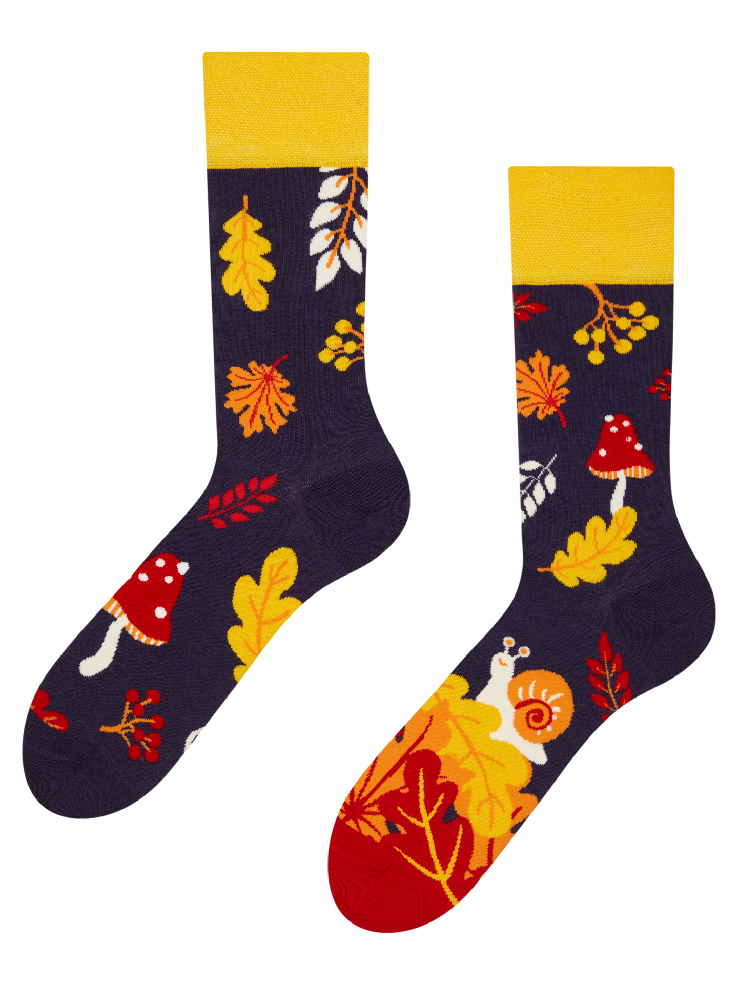 Regular Socks Autumn Snail