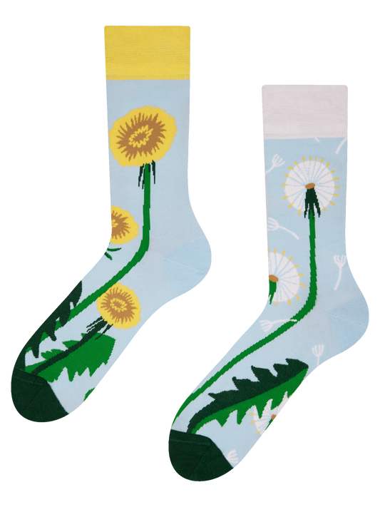 Regular Socks Dandelion Spring