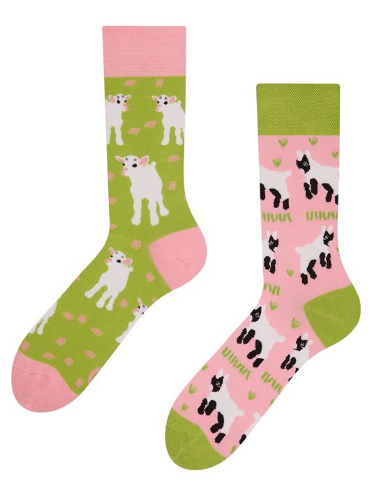 Regular Socks Baby Goats