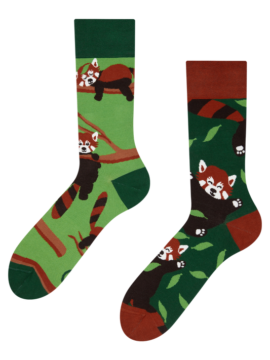 Regular Socks Red Panda