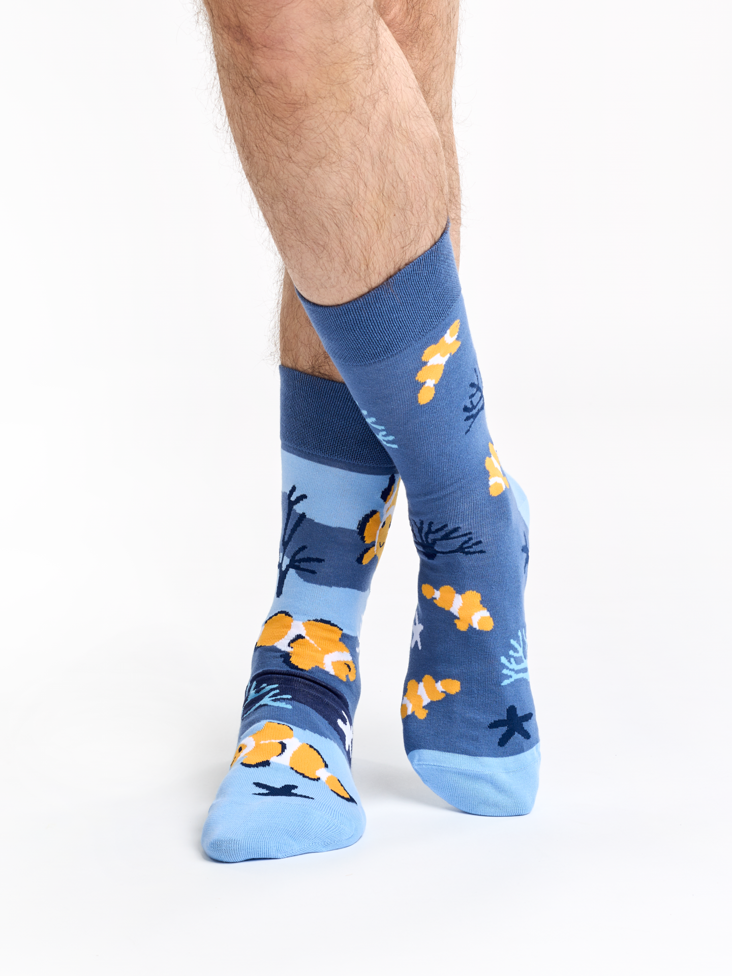 Regular Socks Clown Fish