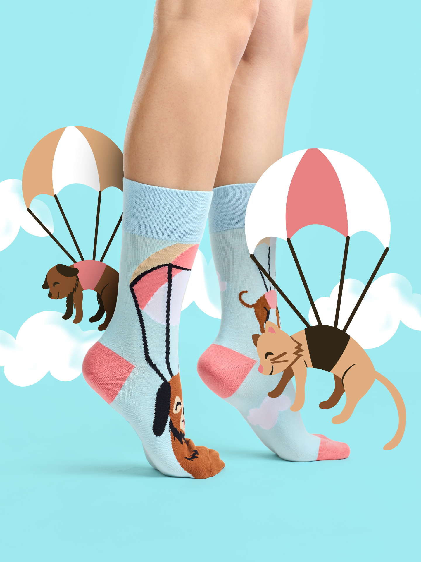 Regular Socks Flying Cats & Dogs