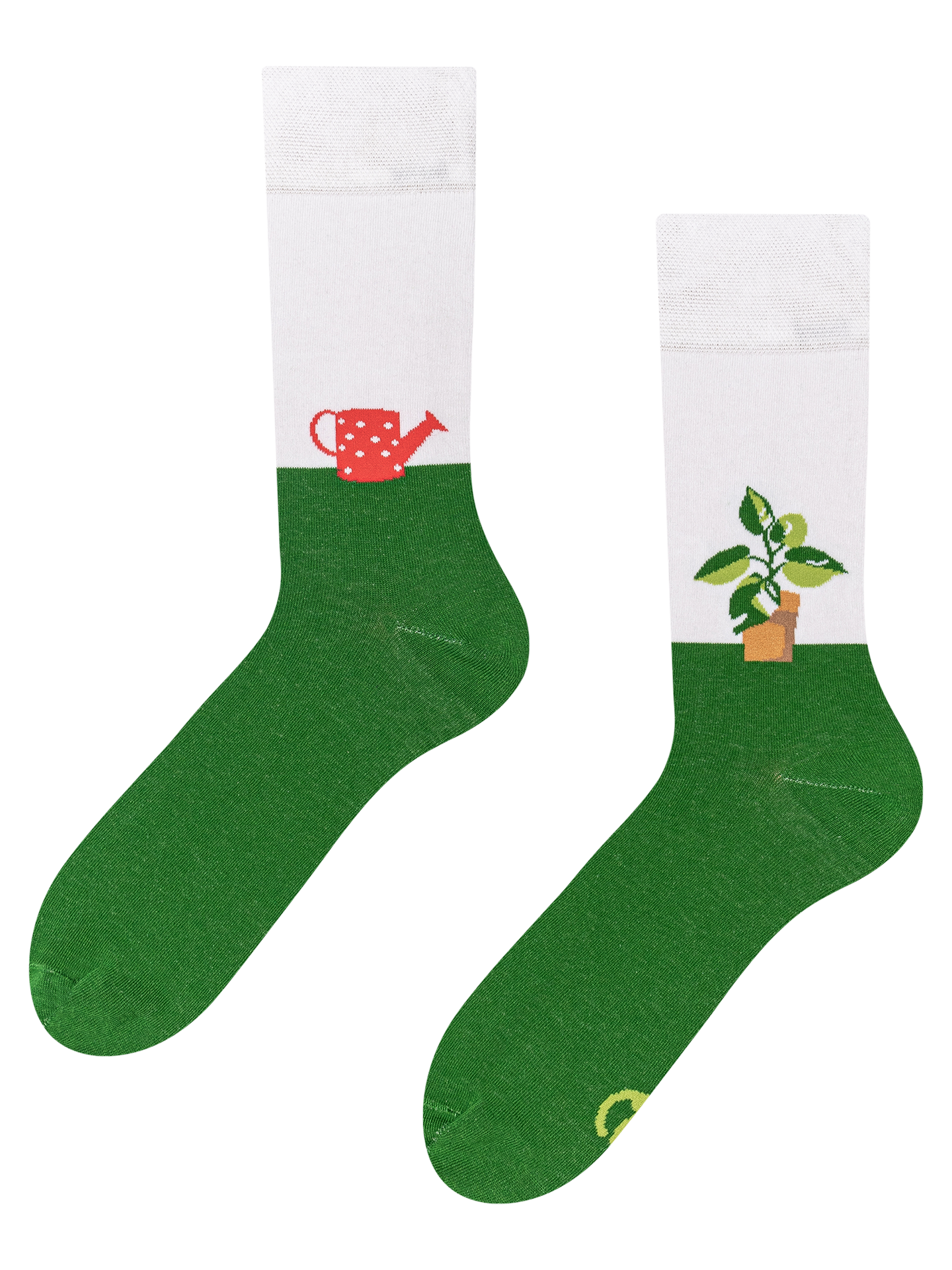 Regular Socks Plant & Watering Can