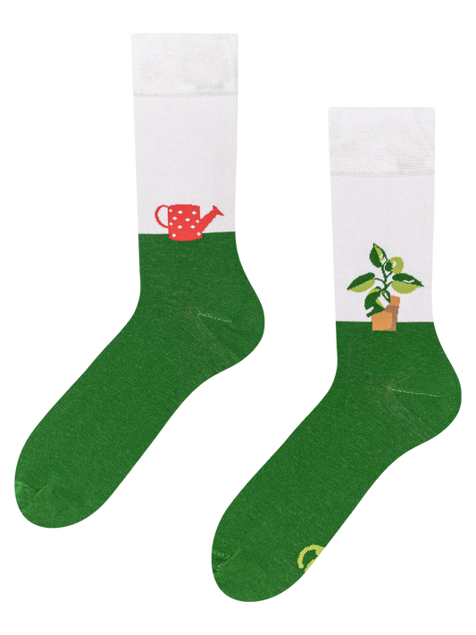 Regular Socks Plant & Watering Can