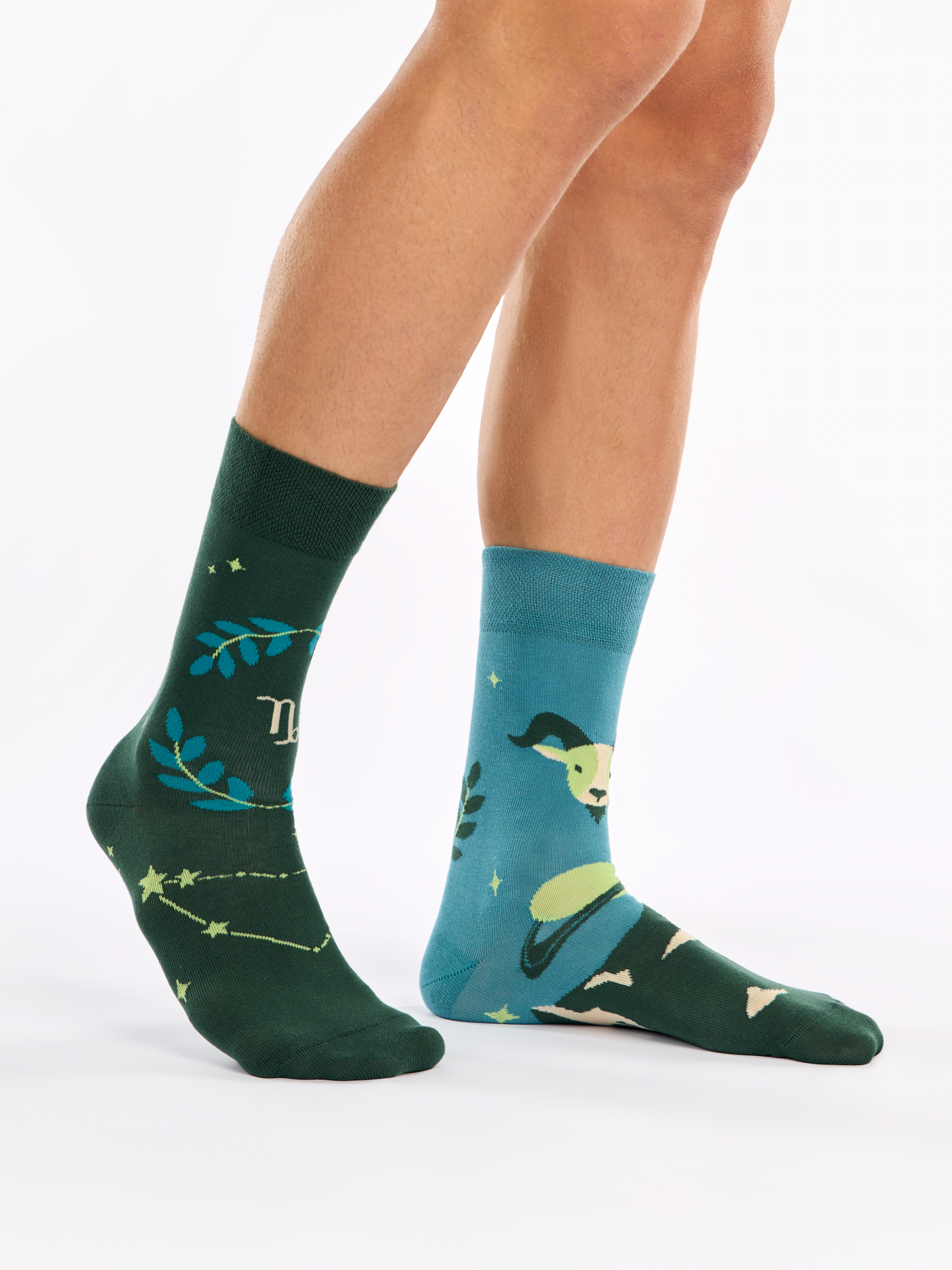 Regular Socks Zodiac Capricorn