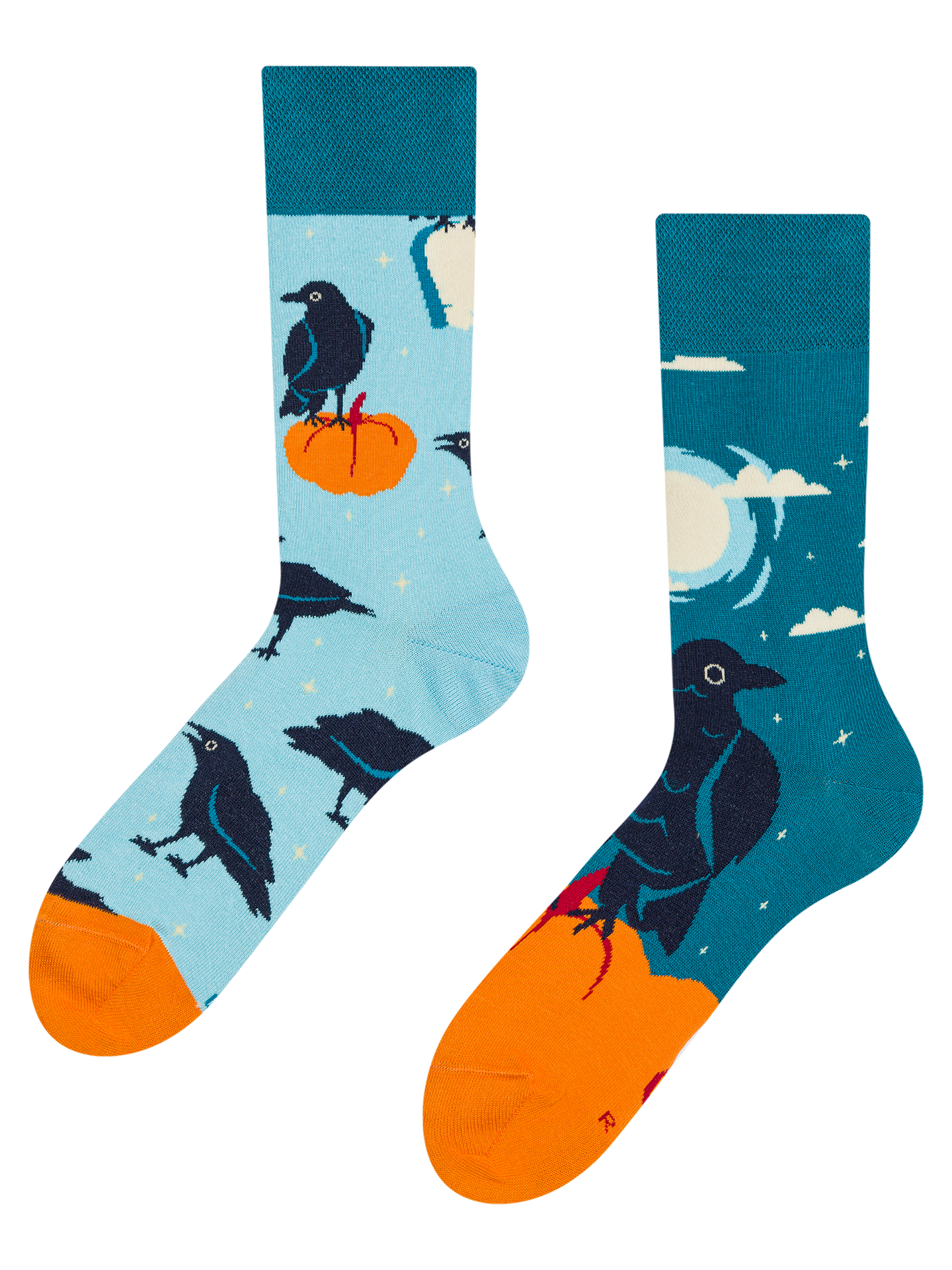 Regular Socks Night Crow