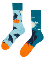 Regular Socks Night Crow