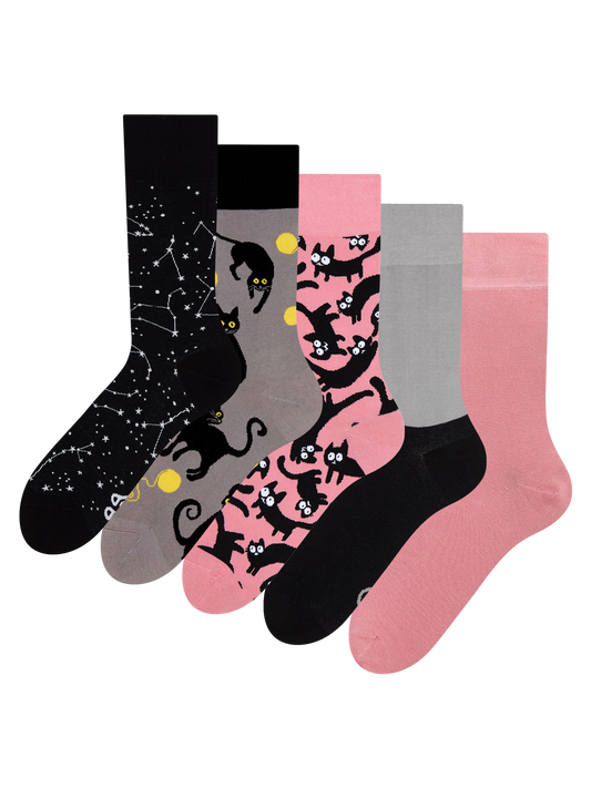 Regular Socks 5-Pack Pink Cats